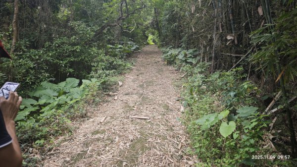 20251109 士林站到大湖站(福山宮_腰繞_燕溪古道_翠山步道_龍船岩_大溝溪)2932336