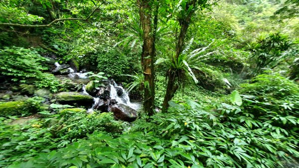 抹茶山，聖母登山步道，隆隆山，福卯古道，水柳腳登山步道，觀音台步道，北勢溪自行車道1742237