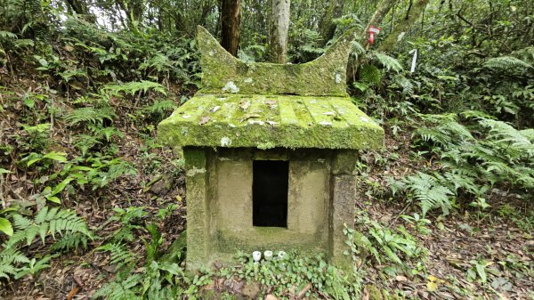 【新北平溪/雙溪】華雙縱走｜粗坑古道溪谷線連走內平林山到大竹林山