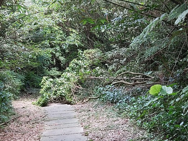 淡蘭古道中路~暖暖車站-十分車站1042644