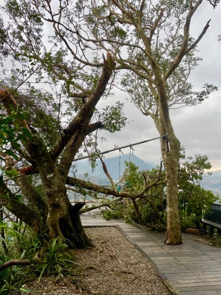 災後紅河谷越嶺小獅山仙跡岩觀音山路況2641465