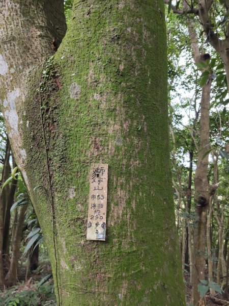 微笑山線：【二格山系】銀河洞越嶺段2959988