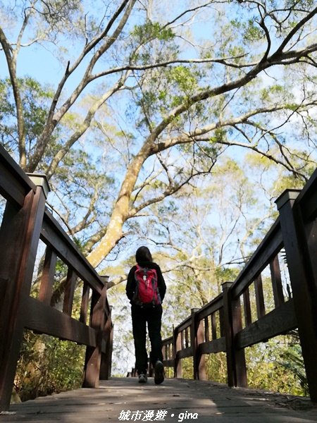 適合賞景健身親子型步道~鳳凰山觀音山步道1244161