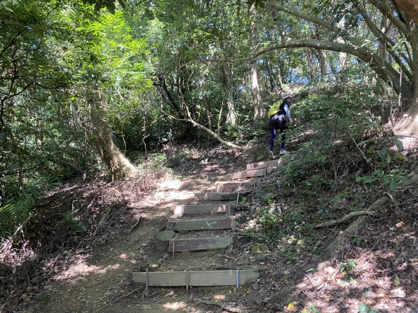 2025微笑山線大縱走尋寶集章任務-Ep.03【鳶山山系】鳶山彩壁段2893659