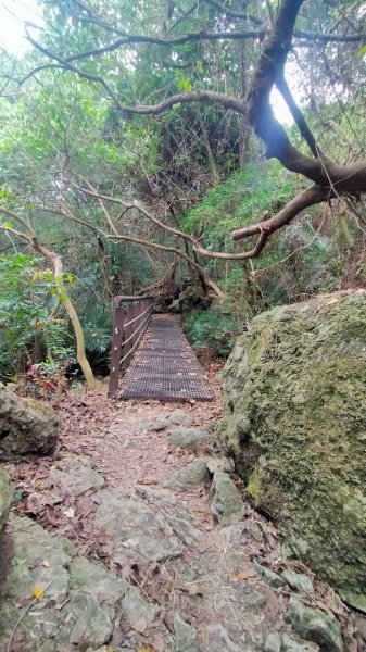 高雄市半屏山之旅1598429