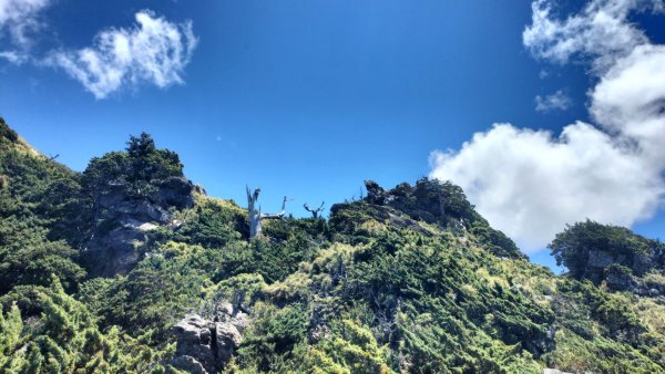 20250825_南玉山2880491