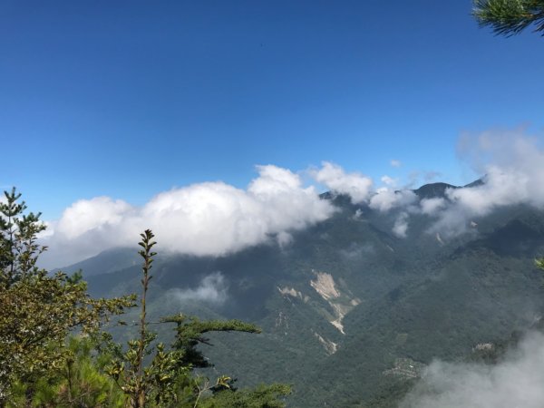 德芙蘭步道上東卯山東稜 O 型1131868