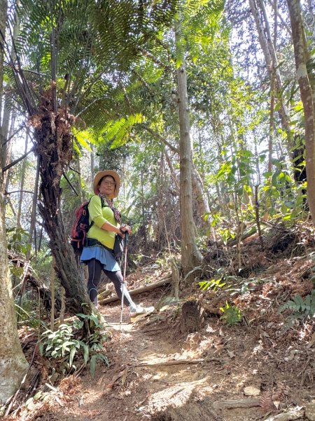 能高瀑布 福興山尋血藤3022251