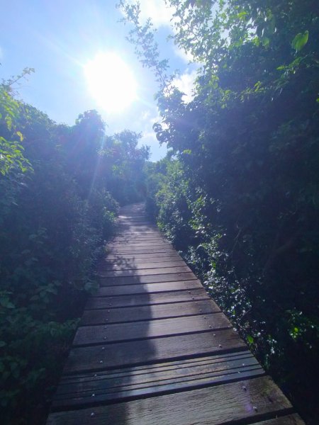 柴山/半屏山2858145