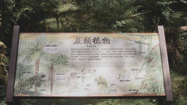 福山植物園-生態天堂1088797