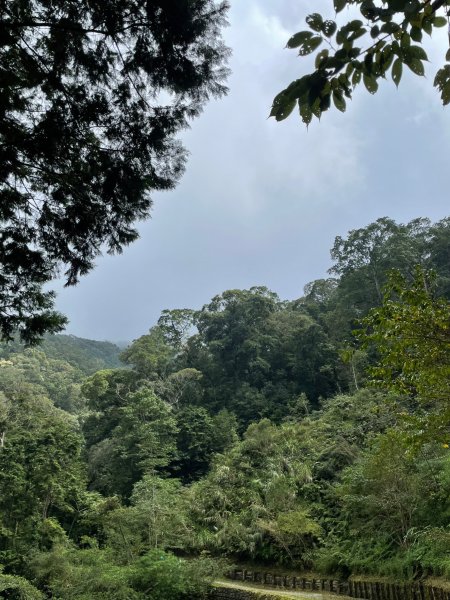 2度強渡關山未竟之藤枝國家森林遊樂區 多納部落 新威森林公園輕鬆走1880497