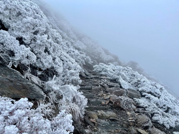 絕美銀白世界 玉山降下今年冬天「初雪」1235944
