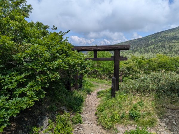 20260703 秋田森吉山3081928
