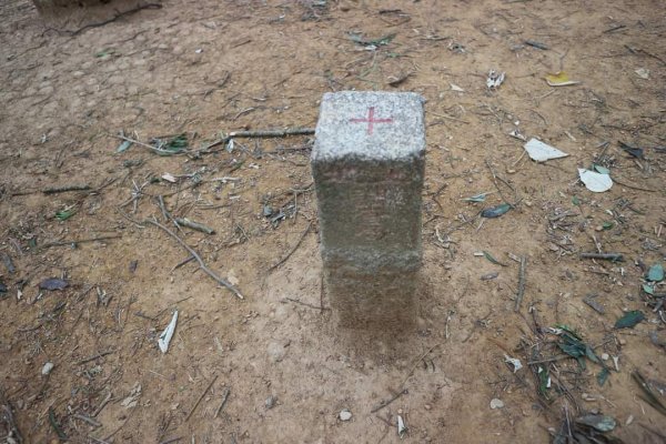 〔內湖〕文間山，劍南蝶園，劍潭古寺，婆婆橋 鄭成功廟步道2249275