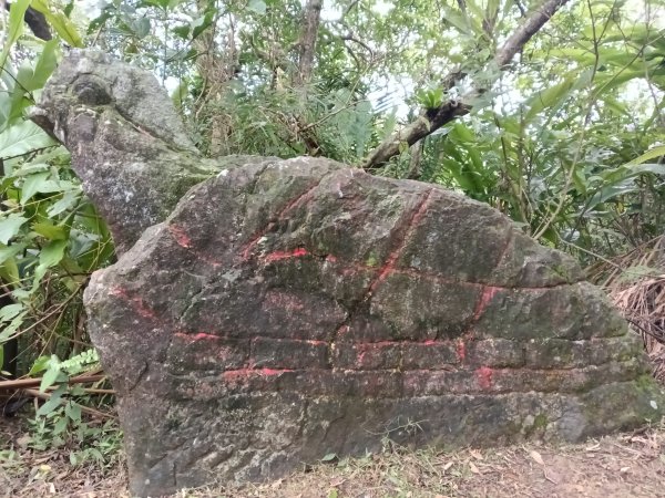 貢寮區大嶺古道+大石壁坑山+龍字碑+五酒桶山+龍崗山2948288