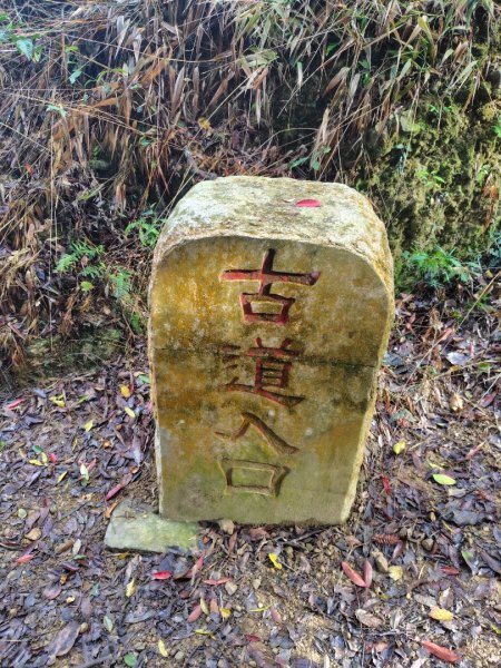 鳳鳴古道 鳳鳴山 南隘勇（南長城）古道 三湖山 八達嶺（龍骨）古道 綠色古道 延平古道2975233