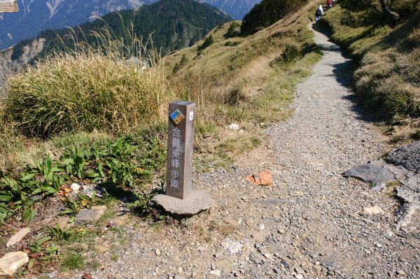合歡山東峰3038992