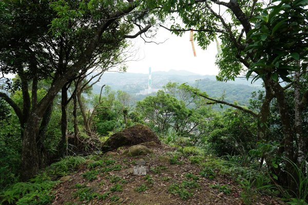臺北 文山 指南山、猴山岳、魚衡山、大前坑山、猴山坑山、祥光寺後山、金頭山2775004