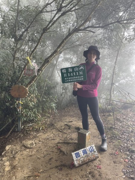 藤枝山&鳴海山2964422