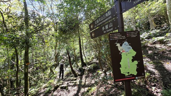東北季風起遊走雲瀑和山毛櫸間的啦卡山與北插天山登山行2951077