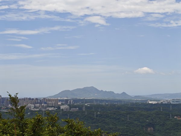[微笑山線_第一段] 2026_0725 大棟山系_大同山3101744
