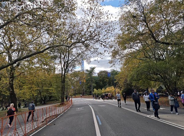 [紐約馬之行-11] 2025_1101 中央公園-畢士大露臺2945093