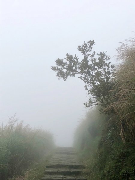 2018-10-25七星山東峰登山步道444015