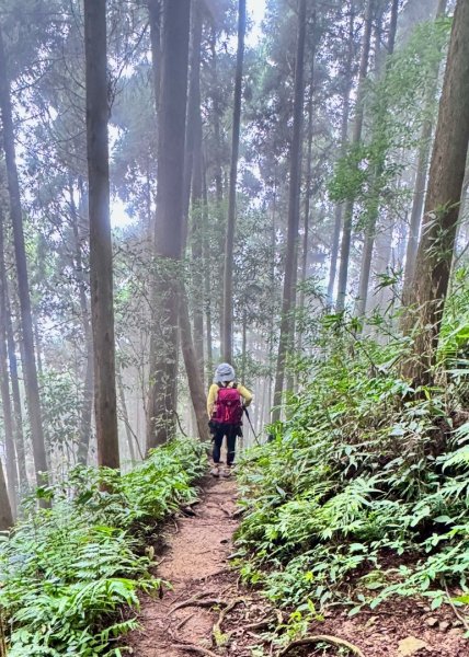 光天高山 - 向天湖山(小百岳32) 小O一圈2876742