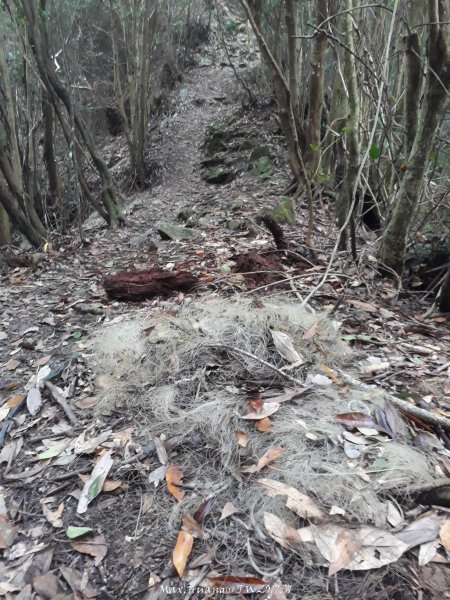 《台中》谷關七雄｜初登屋我尾山201703192890417