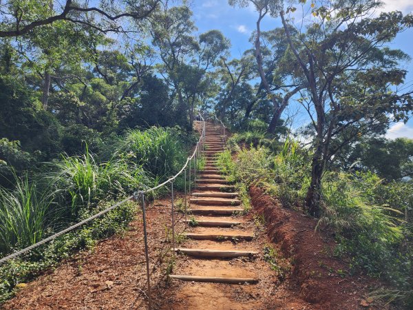 新竹新埔｜文山步道｜犁頭山2891123