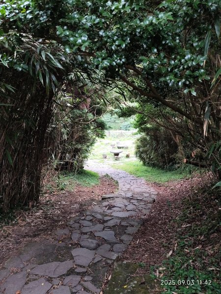 【臺北大縱走 2、3、4】冷水坑→七星山主東峰步道→冷擎步道→小油坑→鵝尾山→內湖許願步道2878902