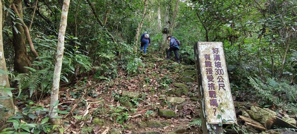 2025/03/01_打牛崎+八寮古道O型2724106