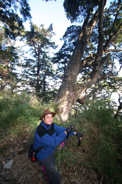 高雄 桃源 台東 海端 庫哈諾辛山 關山嶺山2832176