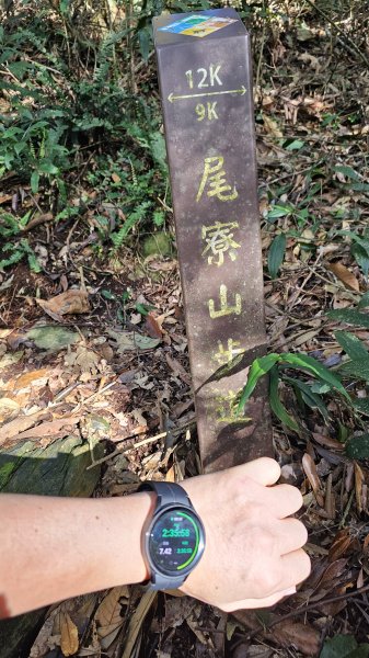 250105-七衝魔王小百岳#073尾寮山。開春第一走，最愛仍是你。2697971