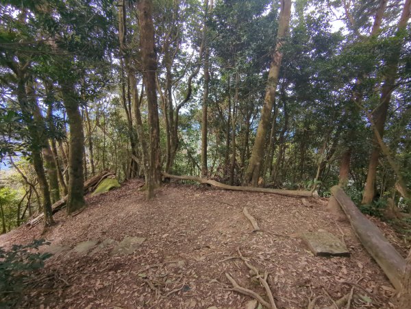 2025.01.18－仙山步道2706101