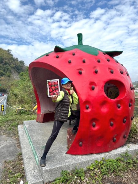 小百岳馬那邦山(H1407m)加碼採草莓2694716