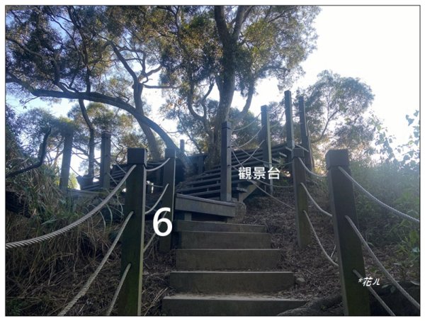 軍功寮山、大坑9、7、6、9-1步道 O型一圈2950834