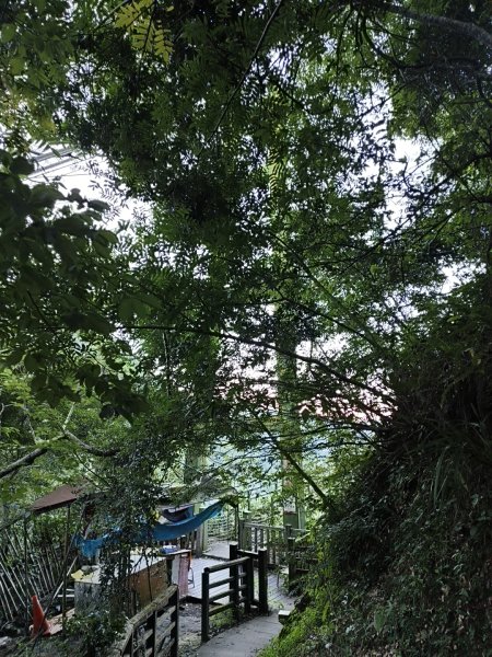 [玉山尋寶任務-07/12] 2025_0824 八通關雲龍瀑布步道2870402