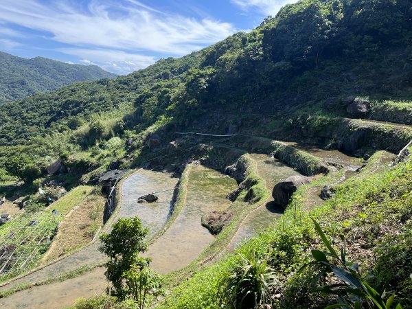 [走遍陽明山]2023_0910_大崎頭步道2279437