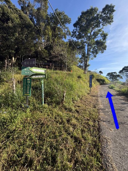 20251207藤枝山步道2957619