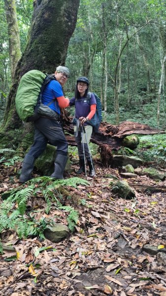 大混李棟重訓2883606