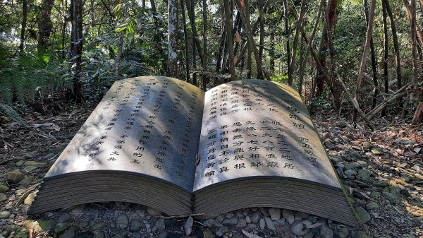 《南投》朝聖禮佛｜日月潭青龍山步道接慈恩塔步道202112281564494