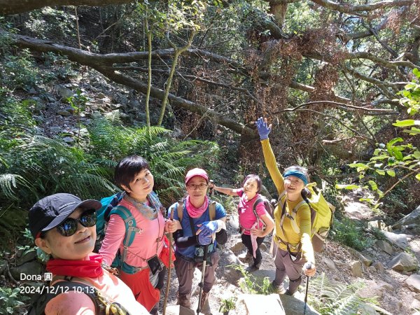 【谷關七雄】波津加(H1771.6m)肉腳配速成功2670431