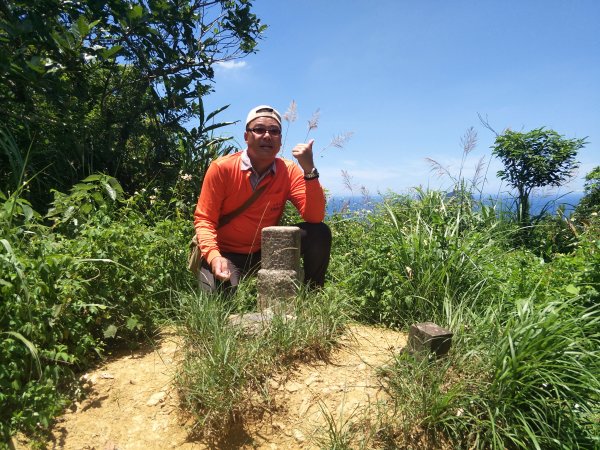 20200616紅淡、槓子寮、大武崙山999638