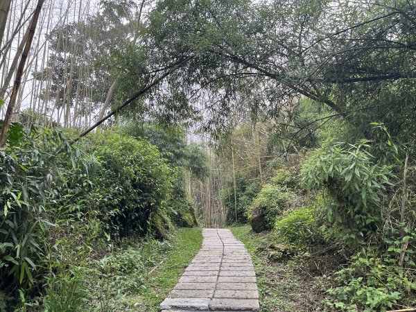 [嘉遊好步道．來嘉走走-04/10] 2024_1011 阿里山頂湖步道2624706