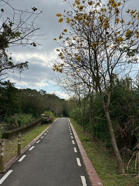 樟之細路三坑到關西3015325