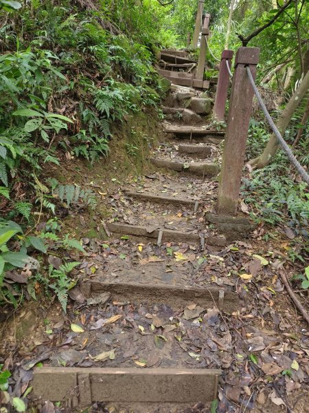 新北市-福德坑山3053874