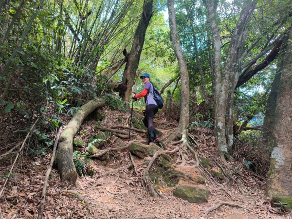 1120528 打鐵寮古道上白石山2165796