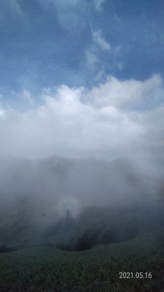再見觀音圈 - 山頂變幻莫測，雲層帶雲霧飄渺之霧裡看花 & 賞蝶趣1390116