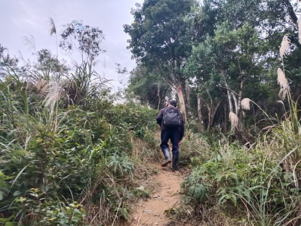 頭城鎮圓通寺+鴻子山東北峰+鴻子山+後湖子山林道+五峰旗山+840峰+水鴨池+水鴨崙+圓通寺O型2983764